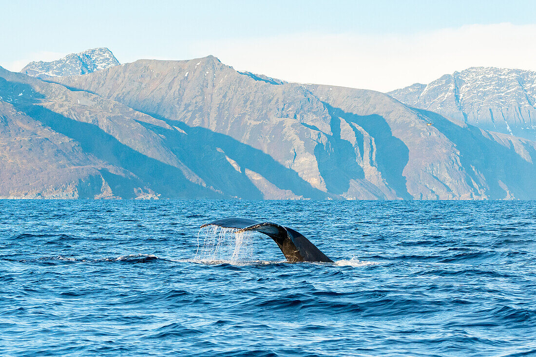  Norway, Skjervøy 