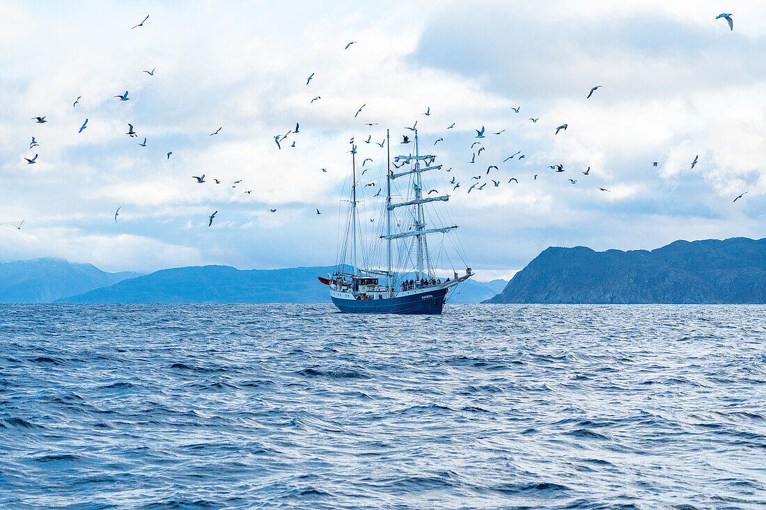 Norwegen, Skjervøy, Segelschiff mit Möwen im Meer