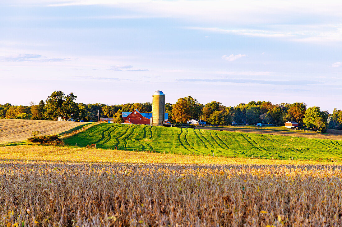  Landscape with farm and grain silo near Cochranville, Chester County, Pennsylvania, USA 