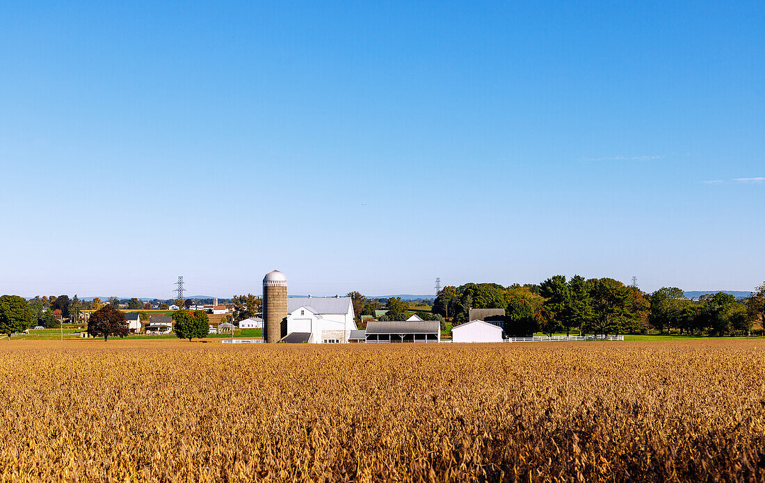  Landscape with farm and grain silo and Amish working in the fields near Strasburg in the Pennsylvania Dutch Country in Pennsylvania, USA 