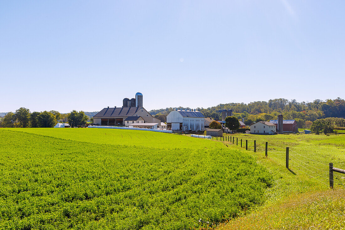  Landscape with farms and grain silos near Strasburg in the Pennsylvania Dutch Country in Pennsylvania, USA 