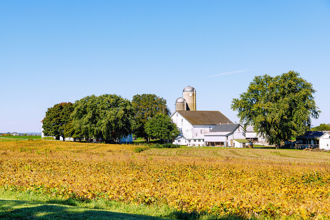 Landschaft mit Farm und Getreidesilo bei Strasburg im Pennsylvania Dutch Country in Pennsylvania, USA