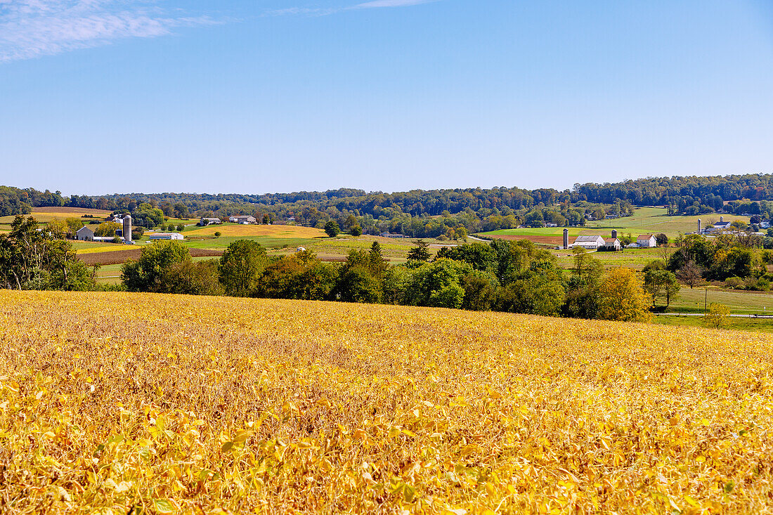  Landscape with farm and grain silo and Amish working in the fields near Strasburg in the Pennsylvania Dutch Country in Pennsylvania, USA 