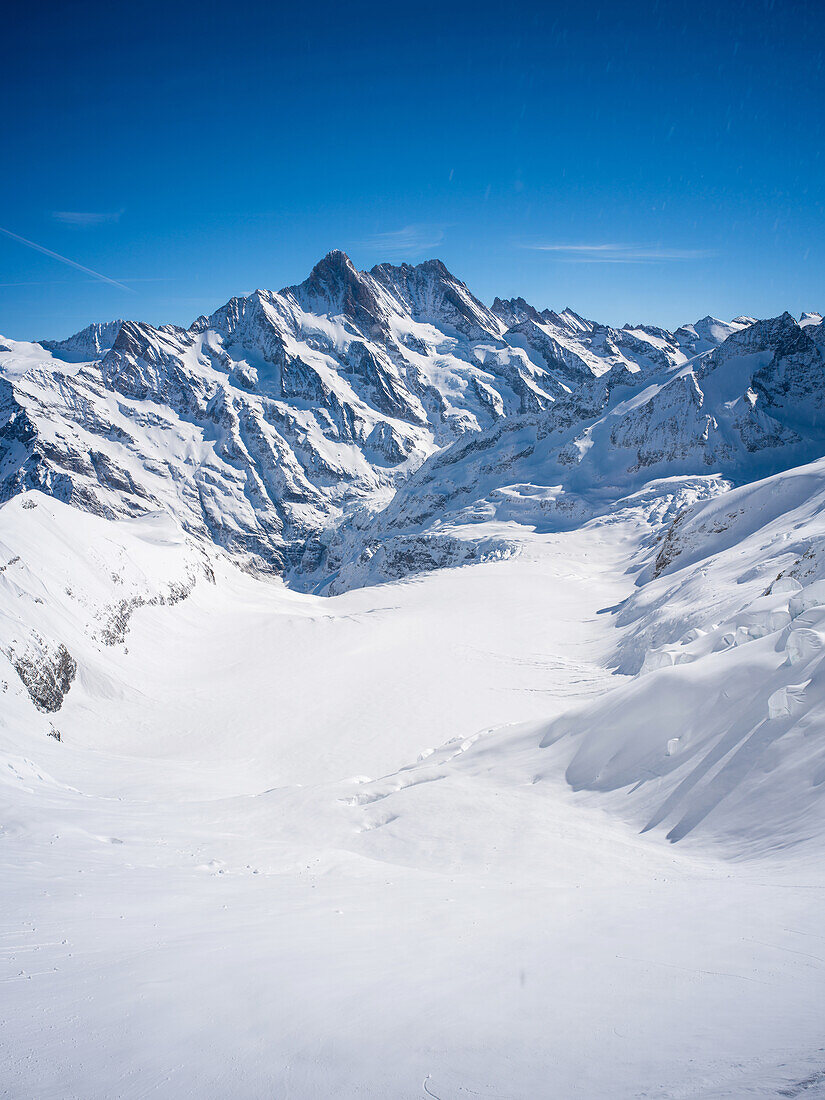  Glacier Ischmeer, Eismeer, Eiger, Alps, Wengen, Grindelwald, Canton of Bern, Bern, Valais, Switzerland, Europe 