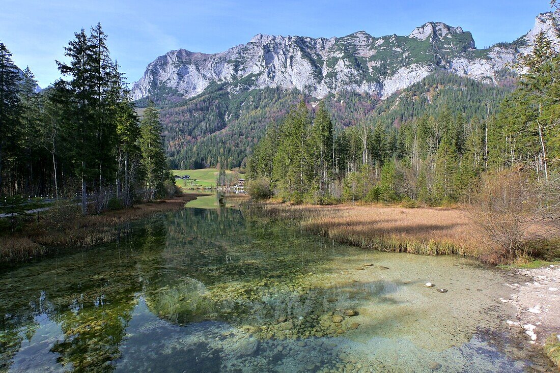 Blick vom Hintersee und Zauberwald zum Gebirgsmassiv Reiteralpe, bei Ramsau, Berchtesgadener Land, Bayern, Deutschland