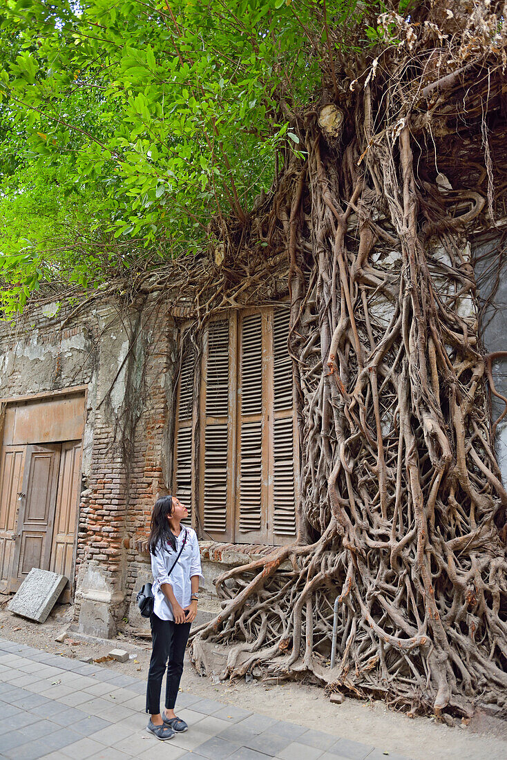 young woman in front of ficus roots growing on a wall of a ruined building, Old Town of Semarang, Java island, Indonesia, Southeast Asia