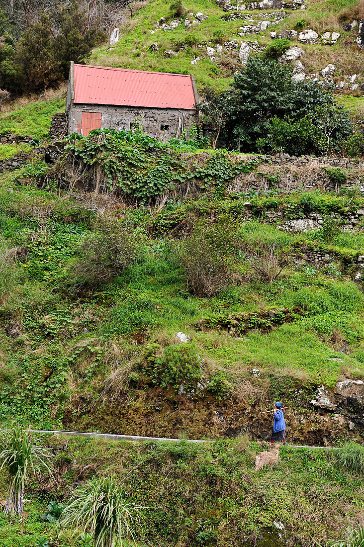  auf den Höhen von Machico, Insel Madeira, Atlantischer Ozean, Portugal 