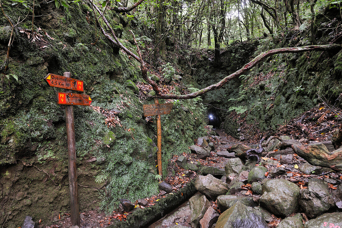  Tunnel der Levada (Aquädukt) des Grünen Kessels (Caldeirao Verde), Insel Madeira, Atlantischer Ozean, Portugal 