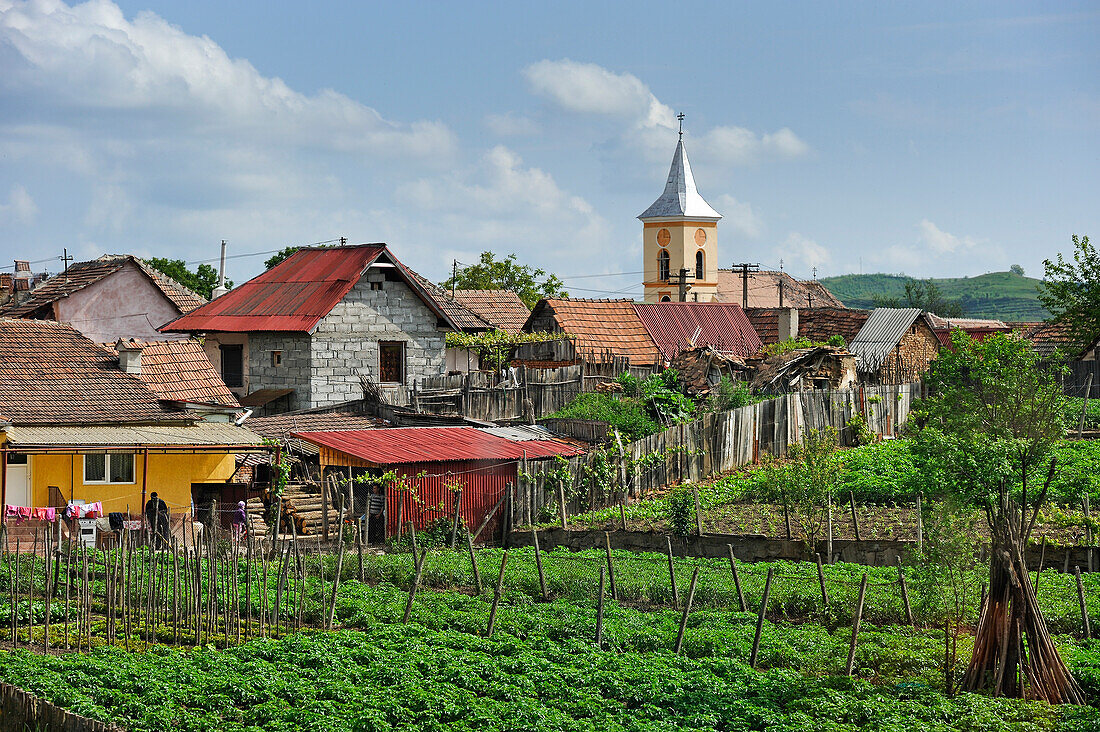 village on the road from Sibiu to Sighisoara, Transylvania,Romania,Southeastern and Central Europe