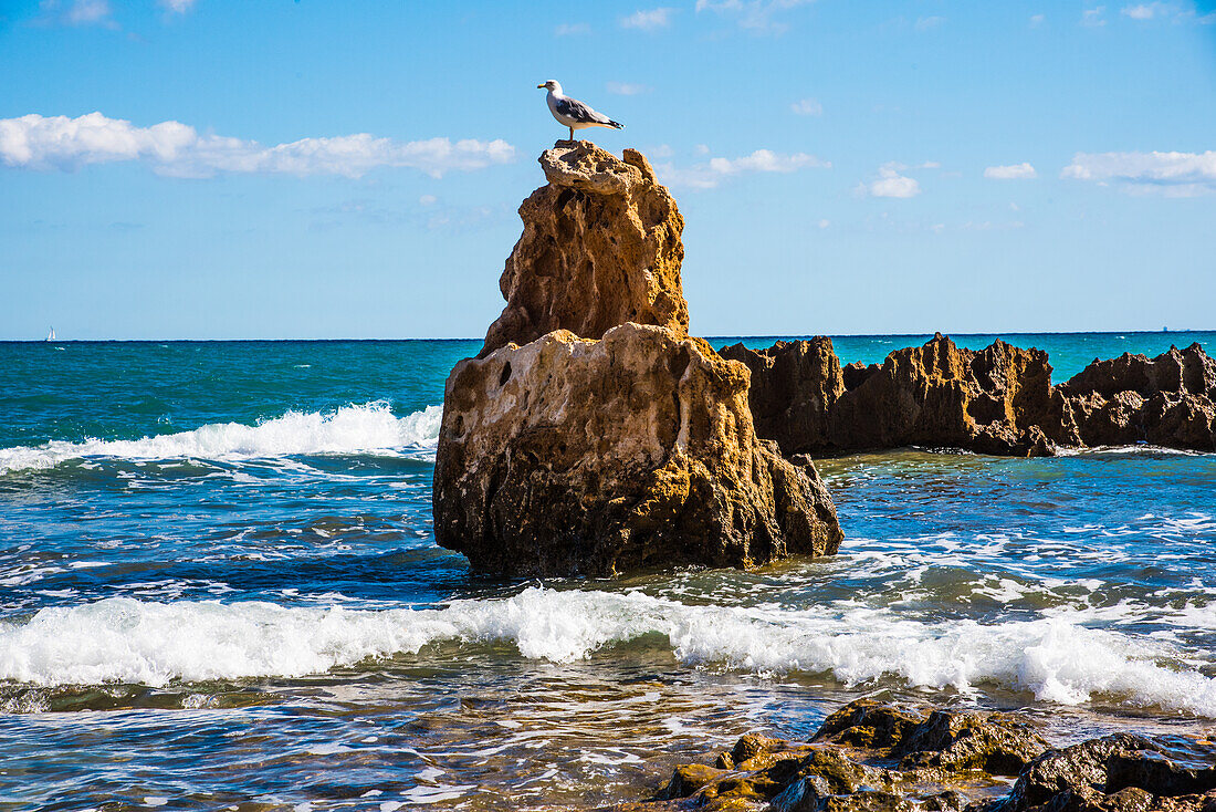 Felsen im Meer am Cabo de San Antonio, (Cap de Sant Antoni), bei Denia, Xabia, Costa Blanca, Provinz Alicante,  Region Valencia, Spanien