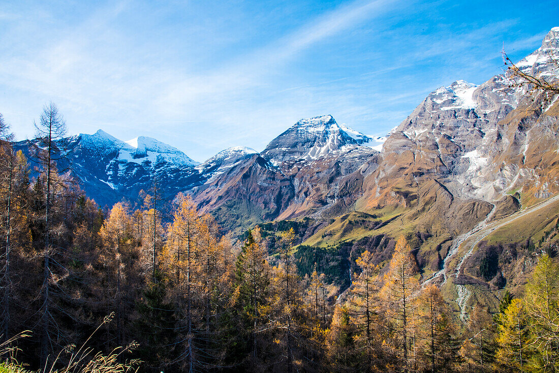  the three-thousand-meter peaks of the Großglochner Group, view from the Fuschertal, Salzburg, Austria 