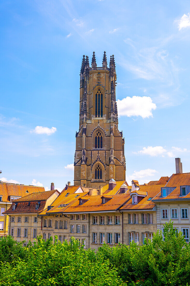 Stadtbild mit Kathedralw in der mittelalterlichen Altstadt an einem sonnigen Sommertag in der Stadt Freiburg, Kanton Freiburg, Schweiz.