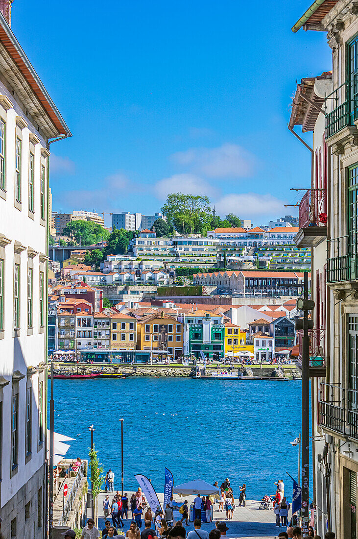 Blick von der Altstadt über den Fluss Douro auf Stadtteil Vila Nova de Gaia, Porto, Portugal