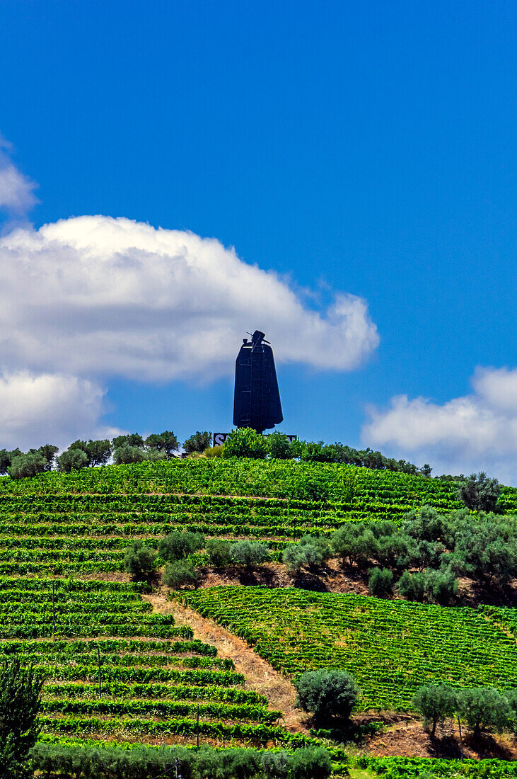  View from the Douro River to the Sandeman statue in the vineyards, Viseu District, Portugal 