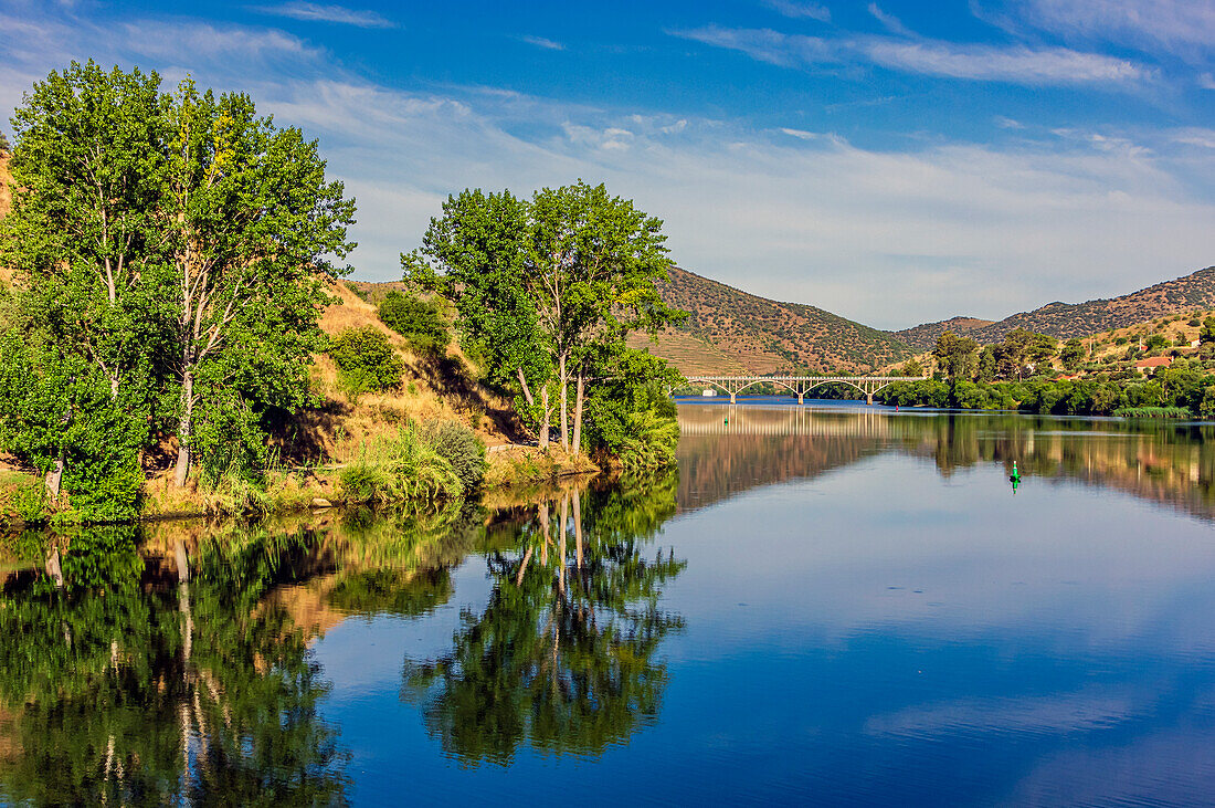  View from the Spanish side, Salamanca region, Spain to the area of the town of Barca d&#39; Alva in Portugal 