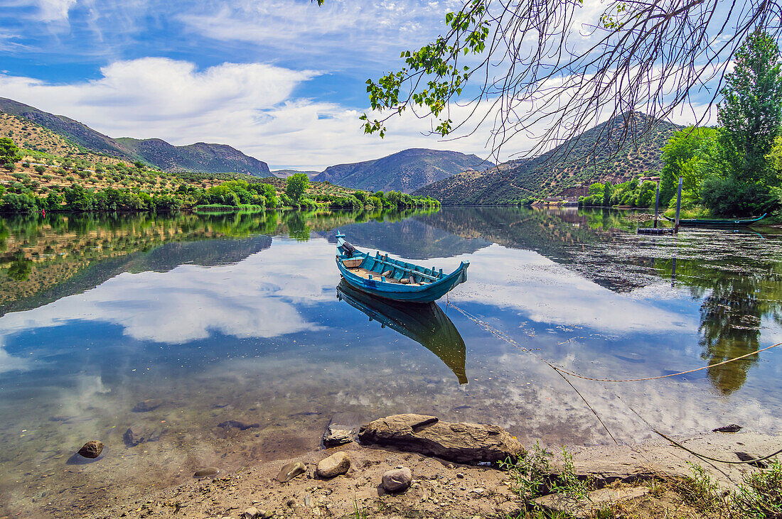  View from the Spanish side, Salamanca region, Spain to the area of the town of Barca d&#39; Alva in Portugal 