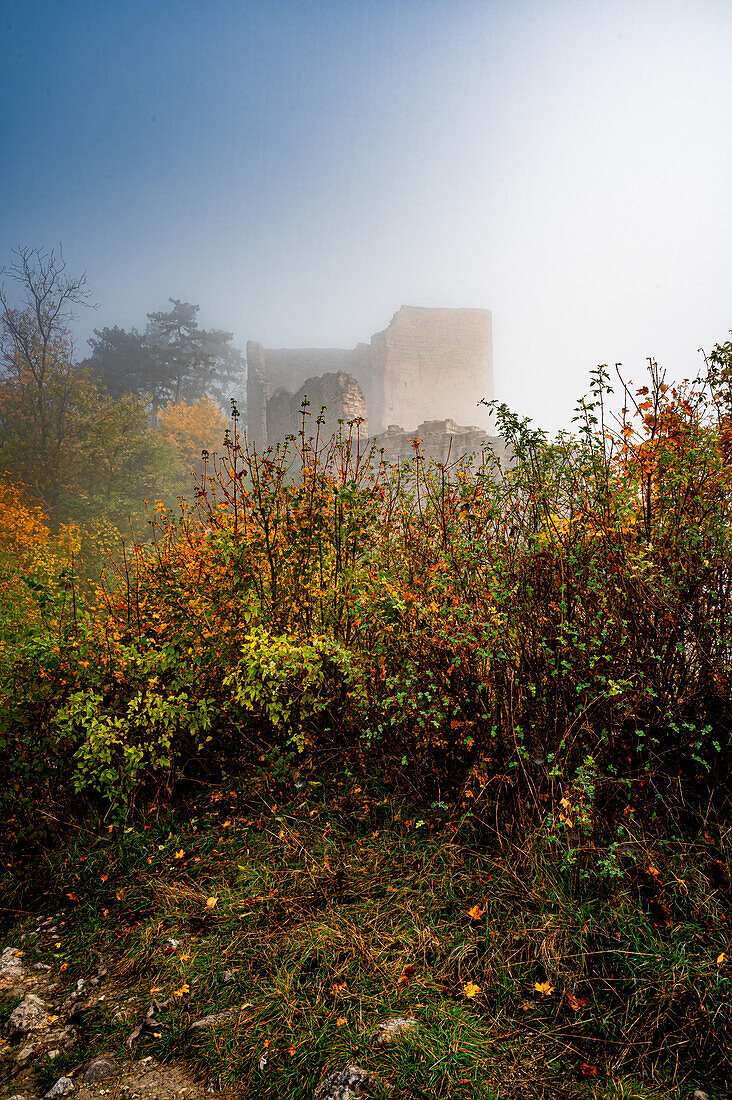 Alte Ruine der Lobdeburg, umgeben von nebligen Herbstfarben und dichter Vegetation, Jena, Thüringen, Deutschland