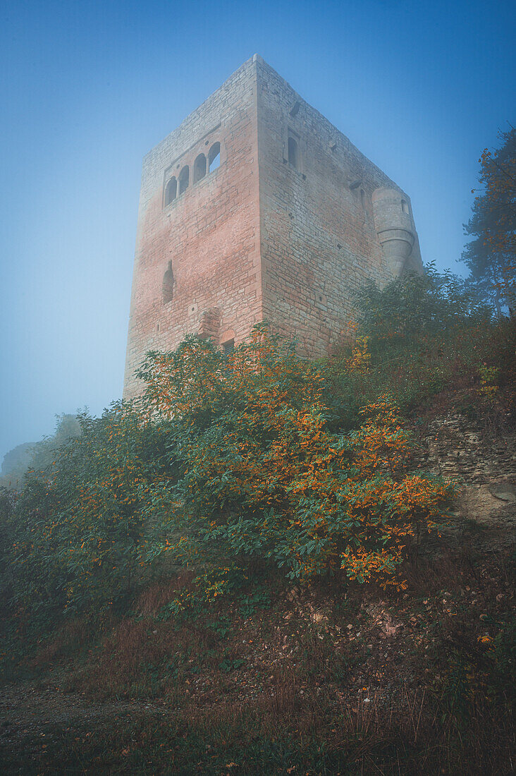  A mystical tower of the Lobdeburg in the fog, autumnal surroundings with intense colors and blue sky, Jena, Thuringia, Germany 