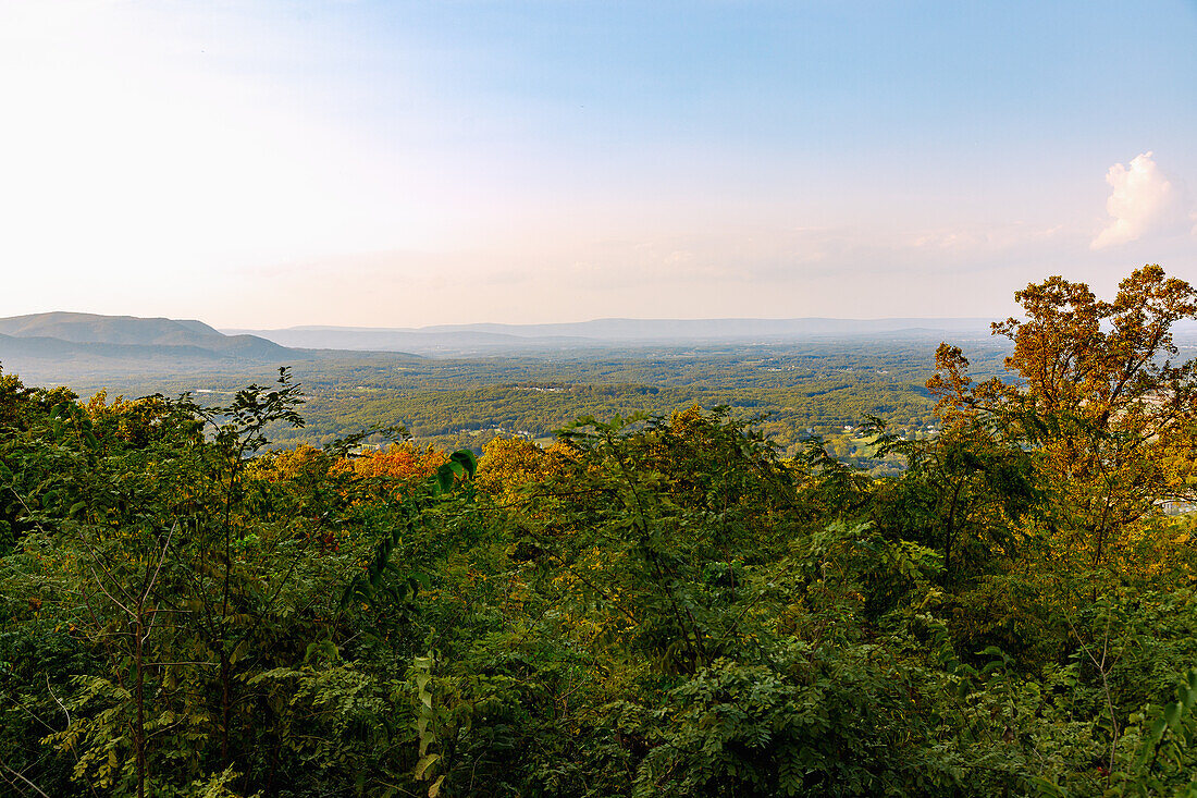  Panoramic view of the Virginia Blue Ridge Mountains from Skyline Drive in Shenandoah National Park, Virginia, USA 