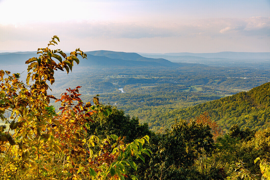 Panorama-Ausblick auf die Virginia Blue Ridge Mountains vom Skyline Drive im Shenandoah National Park, Virginia, USA