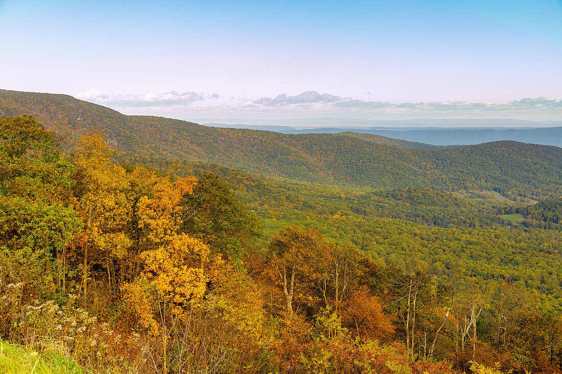  Panoramic view of the Virginia Blue Ridge Mountains from Skyline Drive in Shenandoah National Park, Virginia, USA 