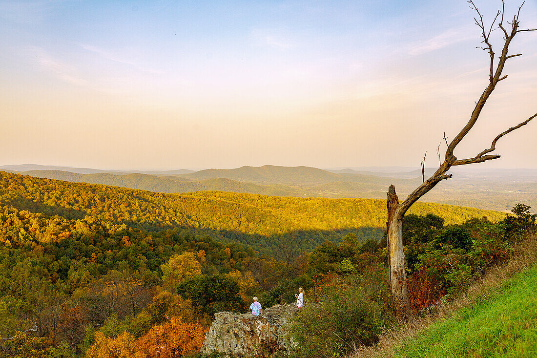 Panorama-Ausblick auf die Virginia Blue Ridge Mountains vom Skyline Drive im Shenandoah National Park, Virginia, USA