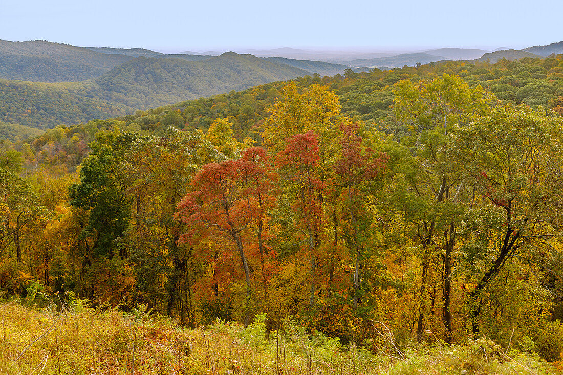  Panoramic view of the Virginia Blue Ridge Mountains from Skyline Drive in Shenandoah National Park, Virginia, USA 