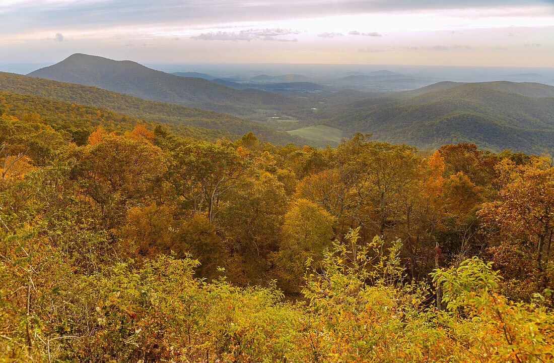  Panoramic view of the Virginia Blue Ridge Mountains from Skyline Drive in Shenandoah National Park, Virginia, USA 