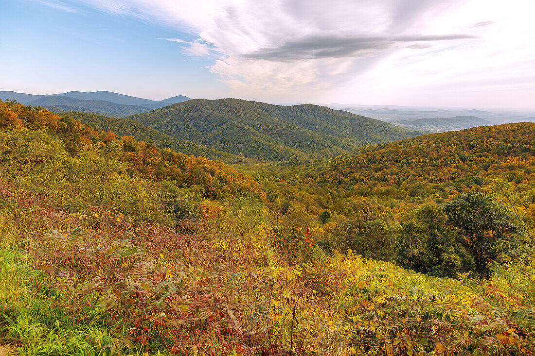 Panorama-Ausblick auf die Virginia Blue Ridge Mountains vom Skyline Drive im Shenandoah National Park, Virginia, USA