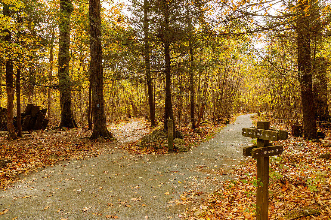  Whiteoak Canyon Trail in Shenandoah National Park, Virginia, USA 