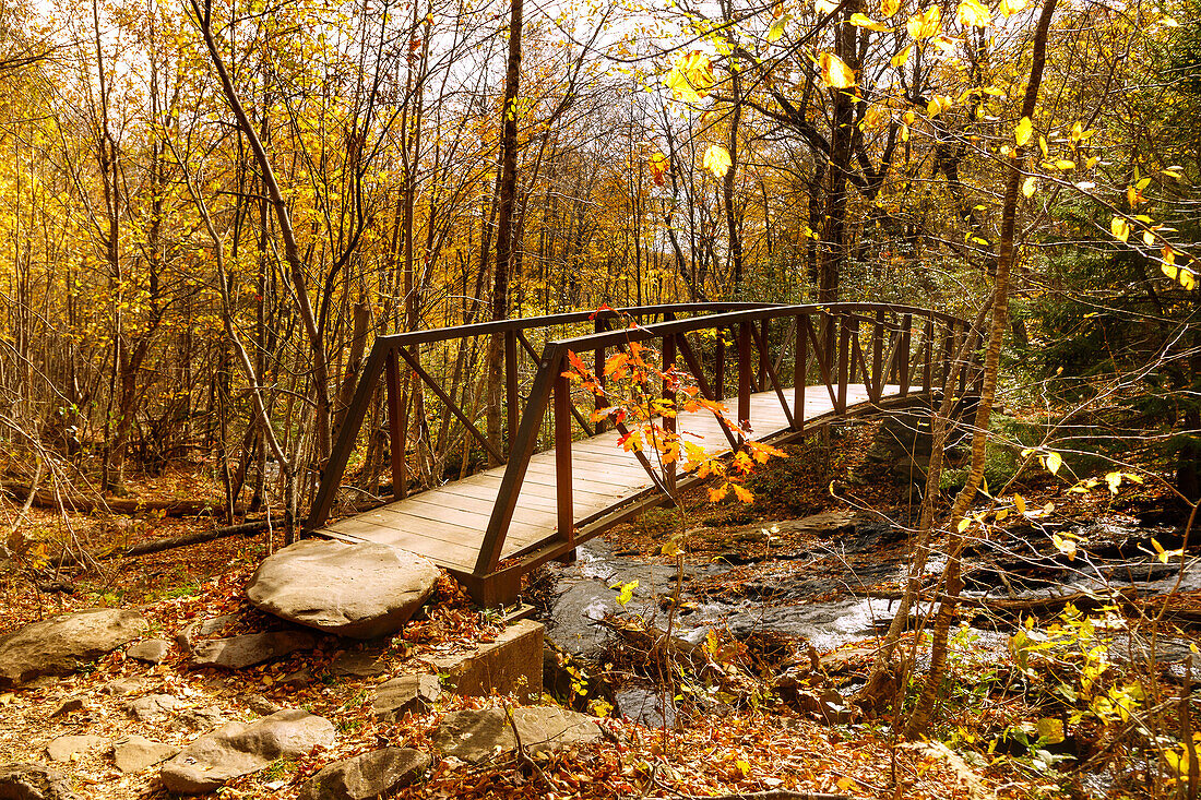 Whiteoak Canyon Trail im Shenandoah National Park, Virginia, USA