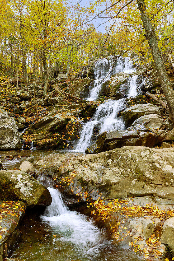  Dark Hollow Falls on Skyline Drive in Shenandoah National Park, Virginia, USA 