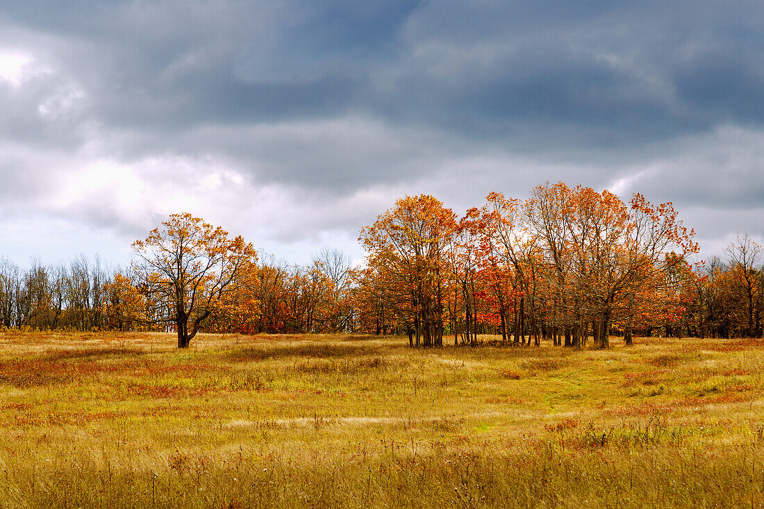  Big Meadows on Skyline Drive in Shenandoah National Park, Virginia, USA 