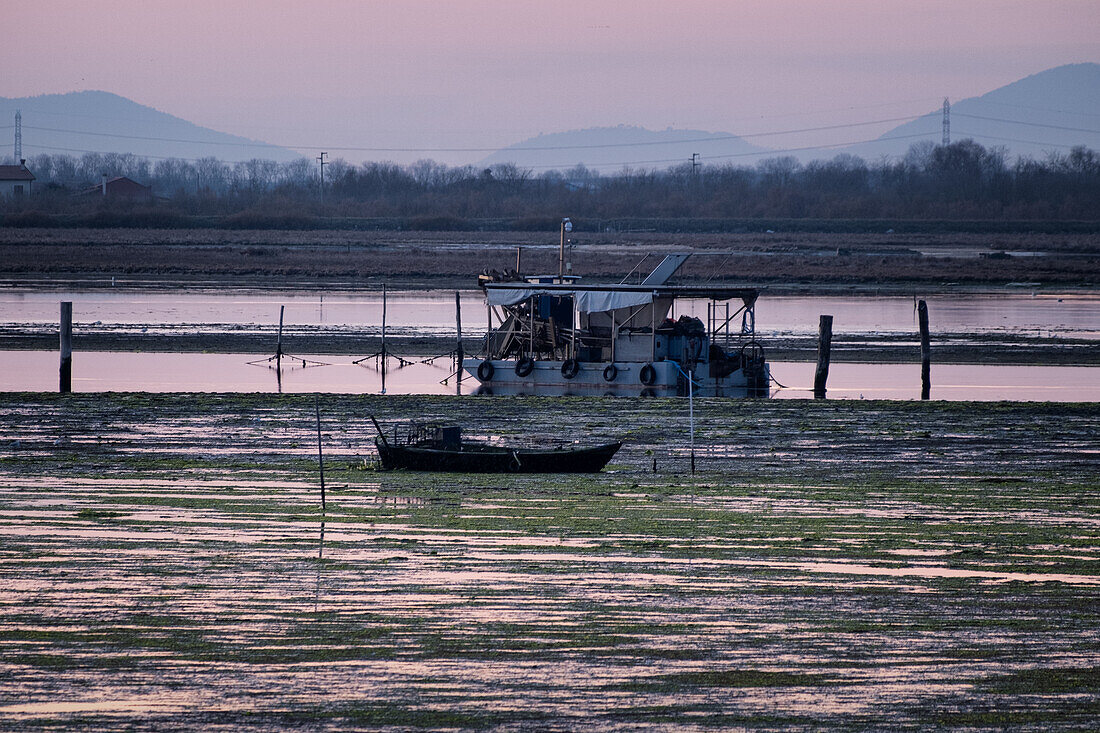  Image of the swamp landscape at sunset, Laguna di venetia, Chioggia, Veneto, Italy, Europe 