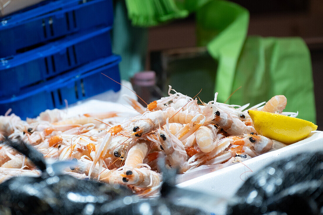  Detail of langostinos at the fish market of Chioggia, Vena Canal, Chioggia, Lagoon, Veneto, ItalyVeneto, Italy, Europe 