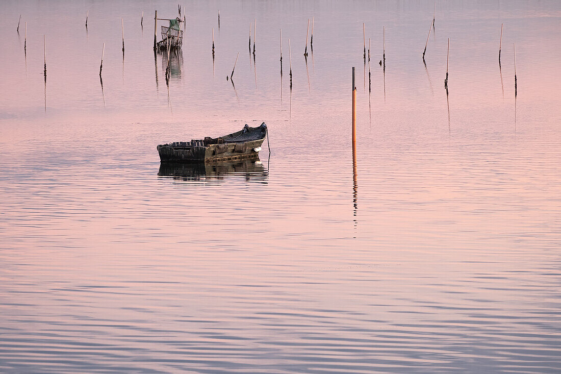  Panoramic image of the swamp landscape at sunset, Laguna di Veneto, Chioggia, Veneto, Italy, Europe 