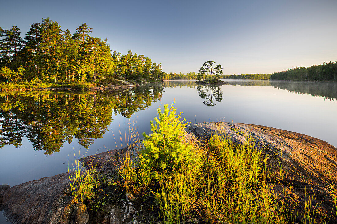  Lake in Glaskogen Nature Reserve, Värmland County, Sweden 