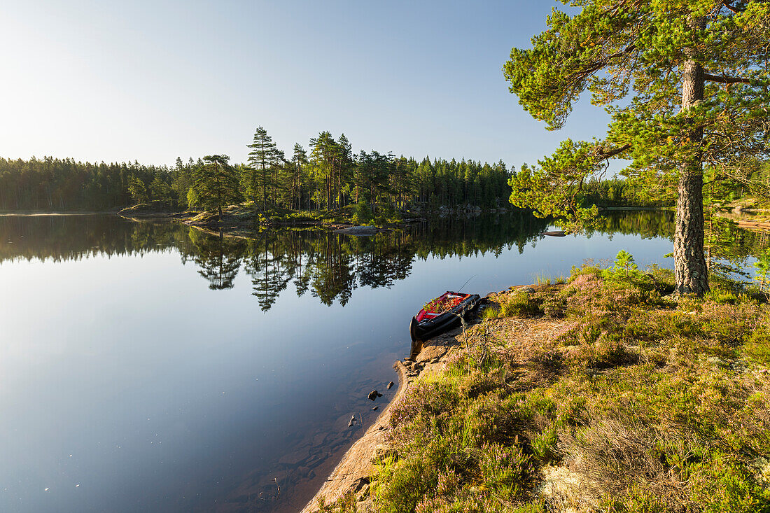  Lake in Glaskogen Nature Reserve, Canoe, Värmland County, Sweden 