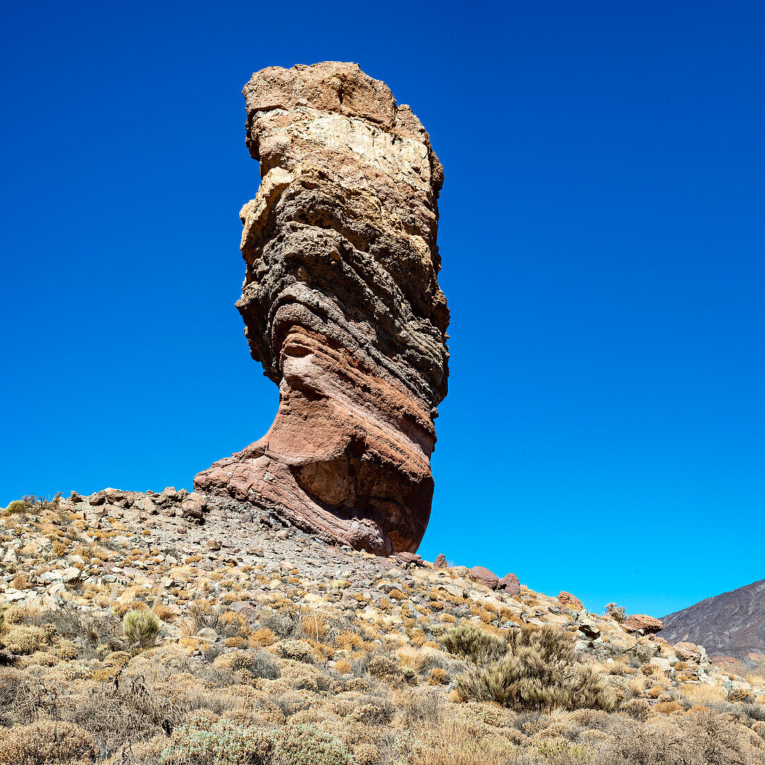  Roque Chinchado, also Stone Tree or Finger of God, landmark of the island, Los Roques de Garcia, behind it the Pico del Teide, 3717m, Las Cañadas, Teide National Park, Tenerife, Canary Islands, Spain, Europe 