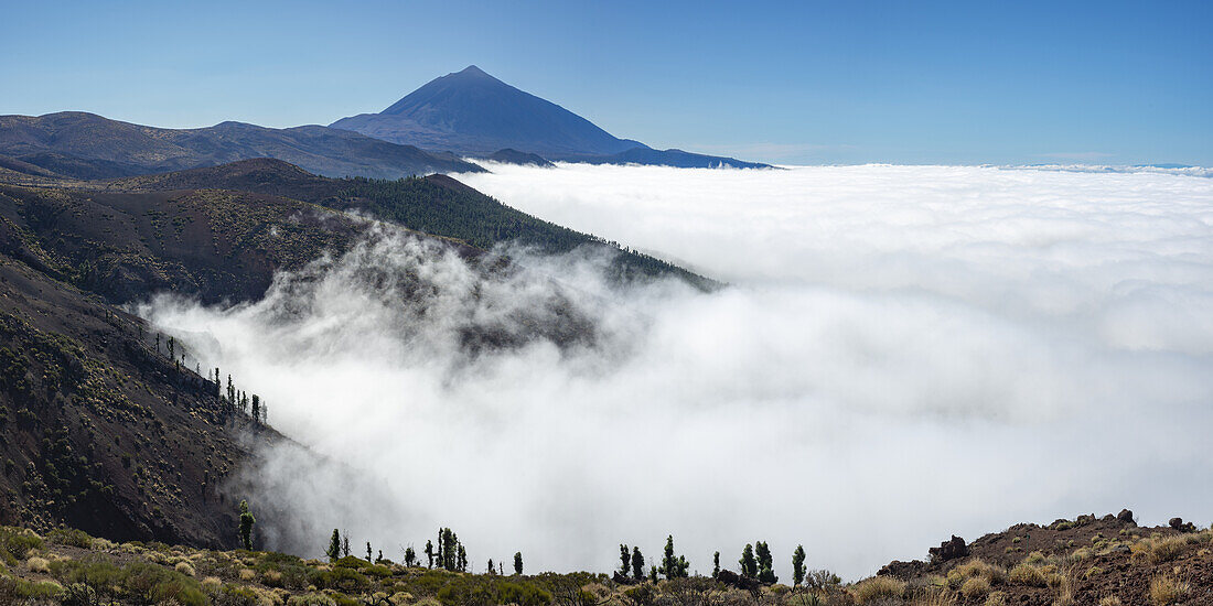 Panorama von Osten über den Teide Nationalpark, Parque Nacional del Teide, zum Pico del Teide, Teneriffa, Kanarische Inseln, Spanien, Europa