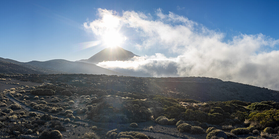  Panorama from the east at sunset over the Teide National Park, Parque Nacional del Teide, to the Pico del Teide, 3715m, Tenerife, Canary Islands, Spain, Europe 