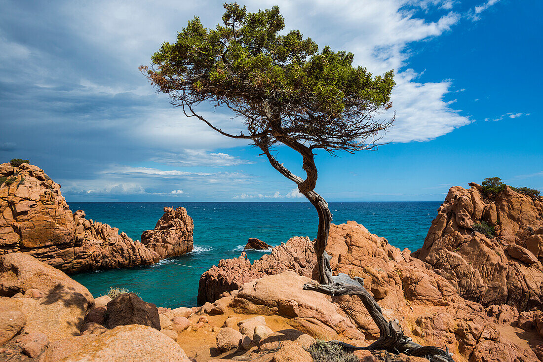 Rote Felsen und Meer, Spiaggia di Coccorocci, bei Tertenia, Provinz Ogliastra, Sardinien, Italien