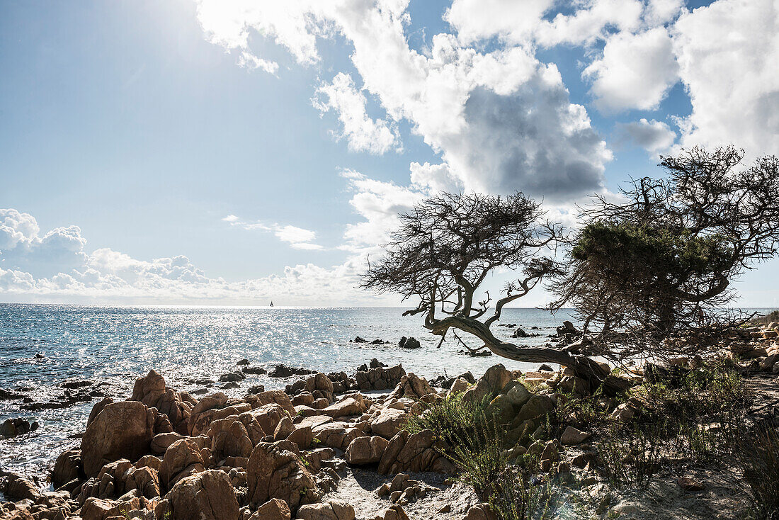 Strand, Spiaggia di Biderosa, Naturschutzgebiet Riserva Biderosa, Orosei, Provinz Nuoro, Ostküste, Sardinien, Italien