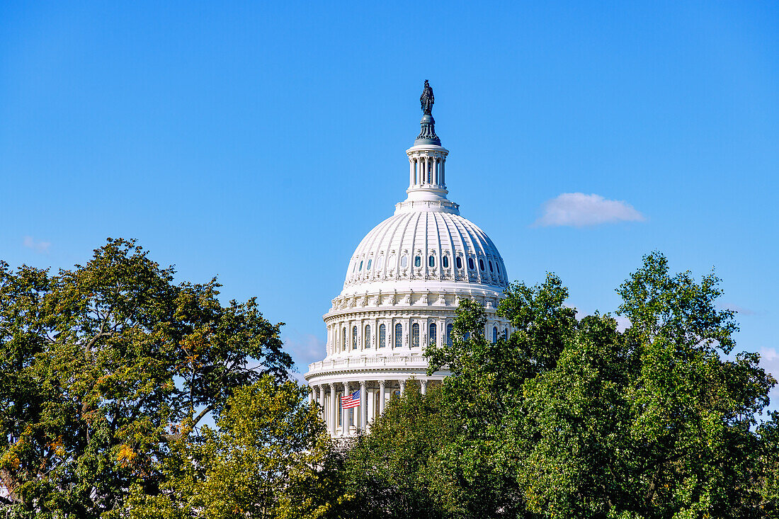 Kuppel des United States Capitol (U.S. Capitol Building, Kapitol) mit Bronzestatue Statue of Freedom in Washington DC, District of Columbia, USA