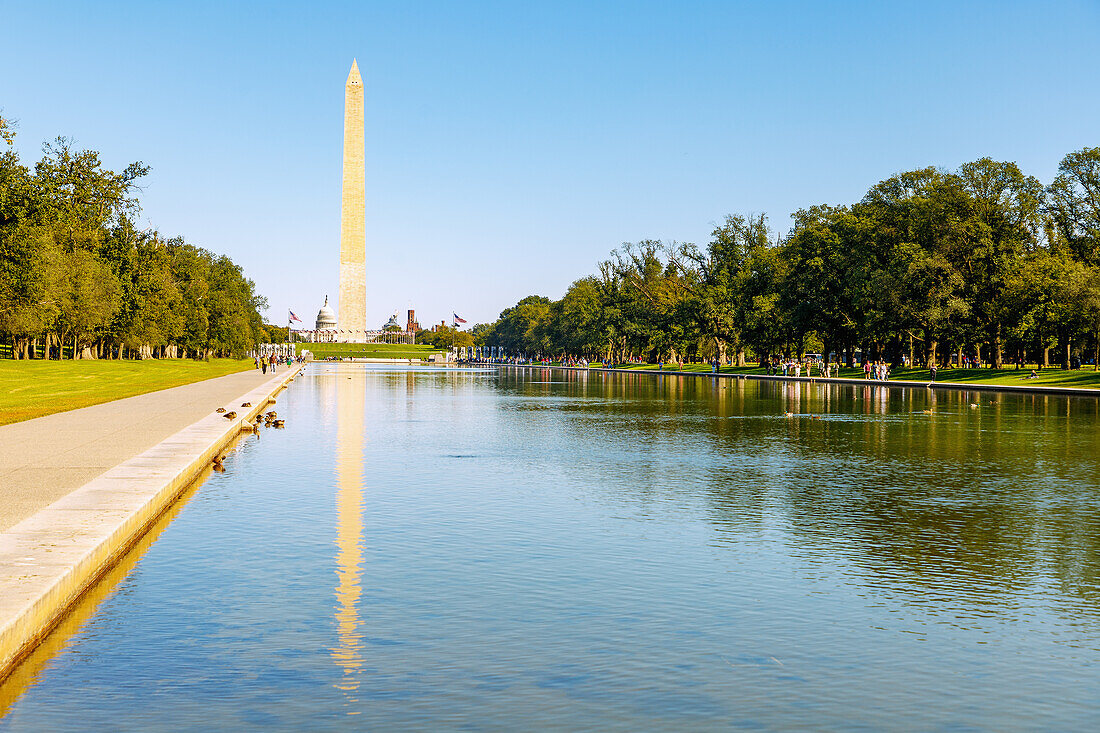 The Washington Monument und Reflecting Pool an der National Mall and Memorial Parks mit Blick auf US Capitol in Washington DC, District of Columbia, USA