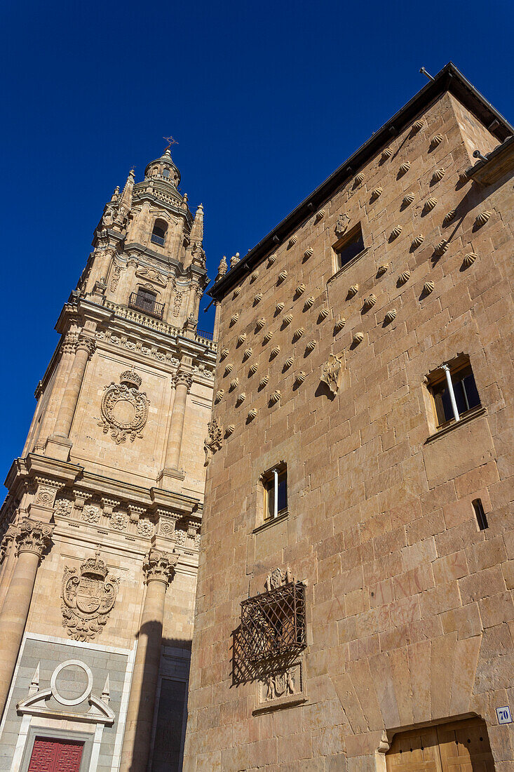 Casa de las Conchas, Salamanca, Castile and León, Spain