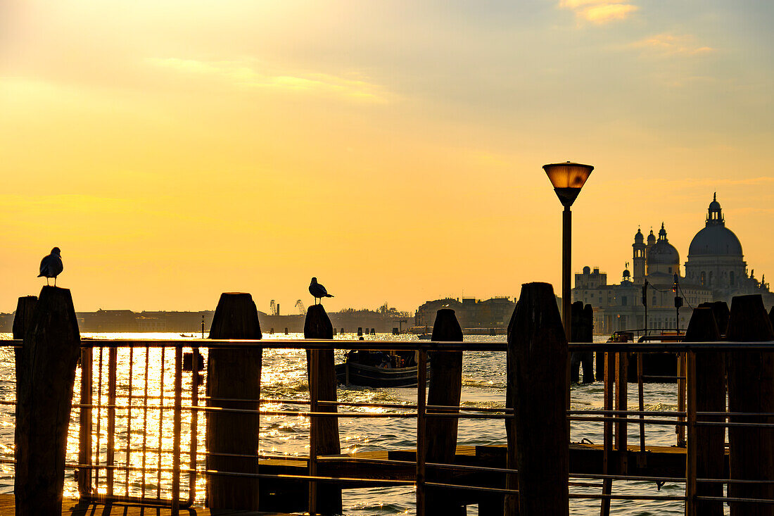 Sonnenuntergang mit Blick auf die Basilika Santa Maria della Salute, Venedig, Venetien, Italien