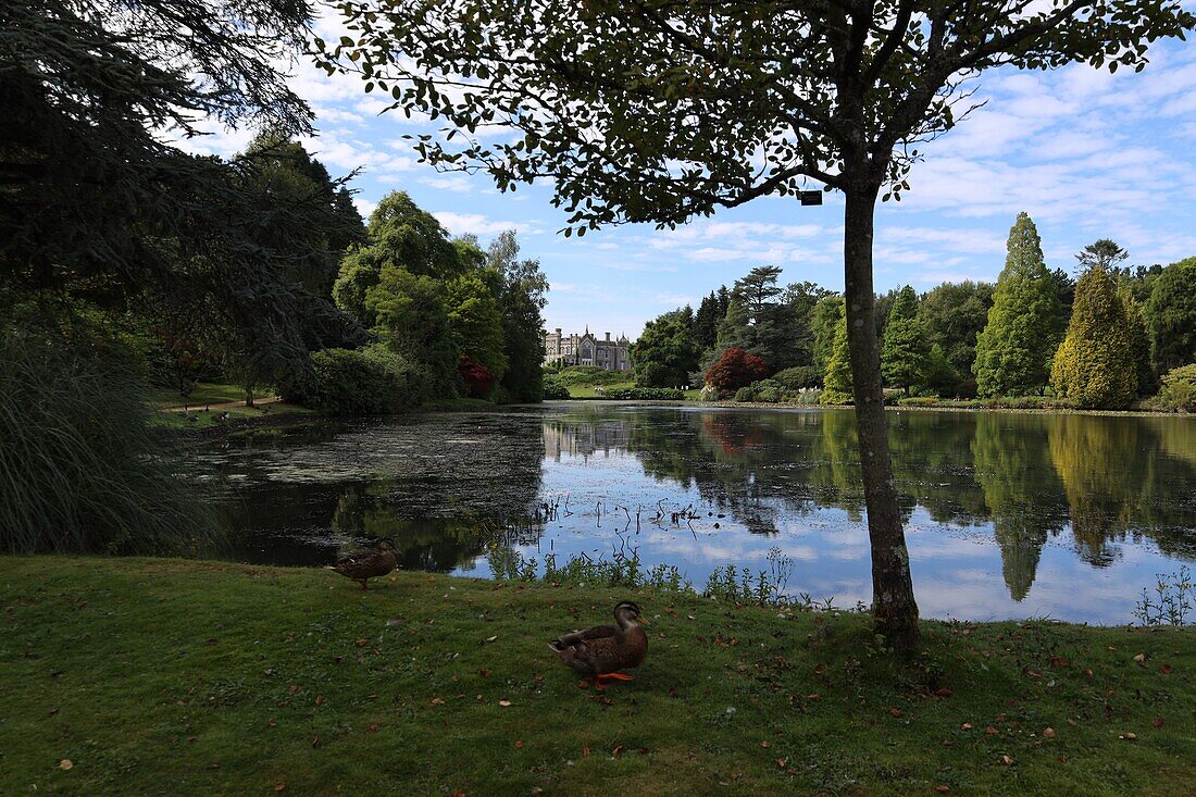 Parklandschaft Sheffield Park House and Gardens, Uckfield, East Sussex, England, Großbritannien