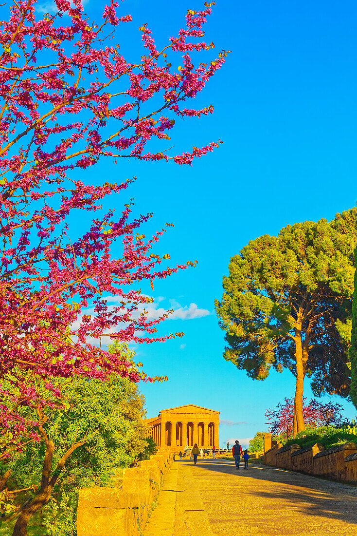 Temple of Concordia, Valley of Temples, Agrigento, Sicily, Italy