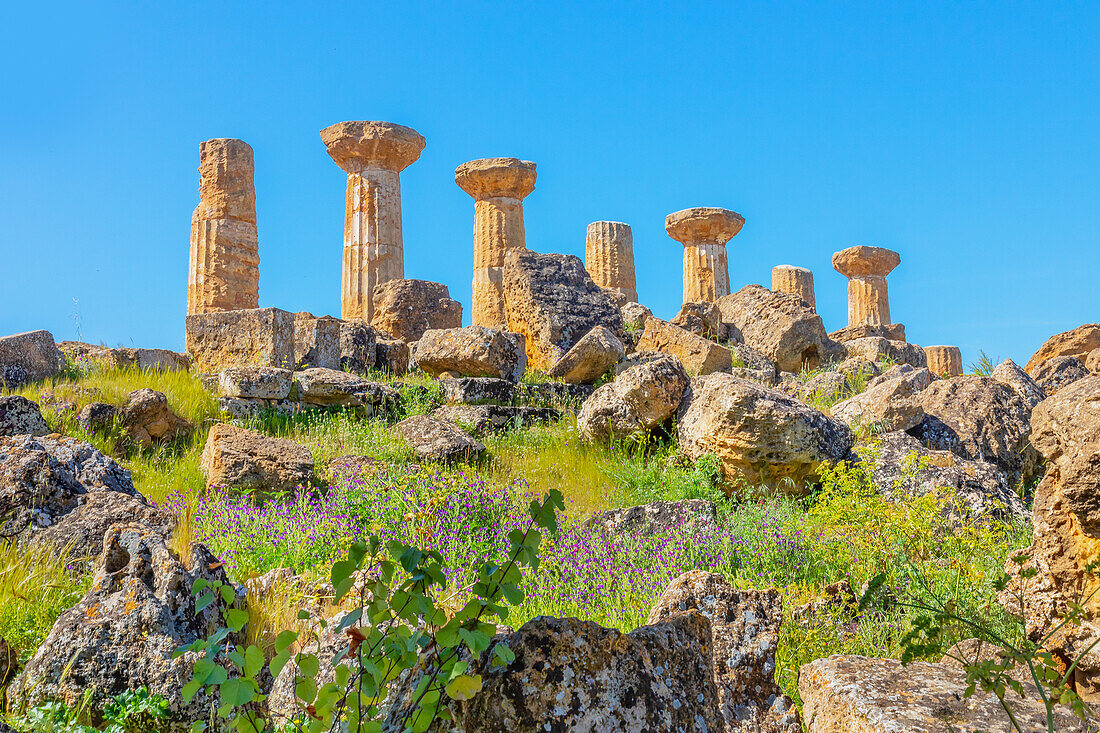  Tempel des Herakles, Tal der Tempel, Agrigent, Sizilien, Italien 